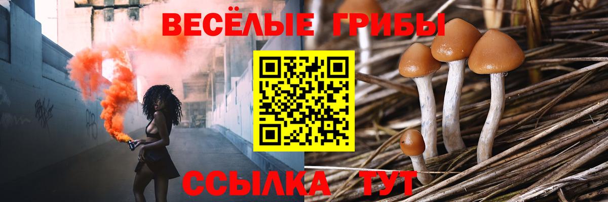 Псилоцибиновые грибы Psilocybe  Вход с VPN  Семилуки  Галлюциногенные грибы GOLDEN TEACHER 